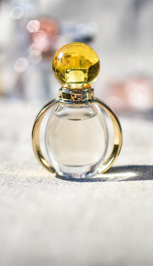 Fornitore di Profumi + Guida Gratuita